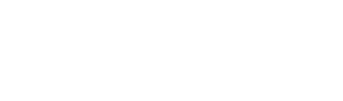 Wellness Town